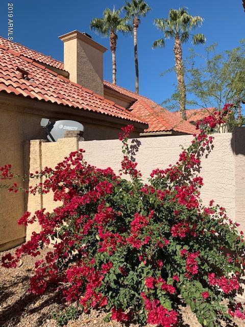 1534 E Campbell Ave, Gilbert, AZ 85234 photo 39
