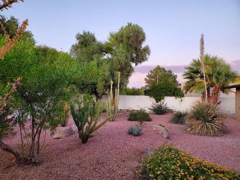 2922 E Acoma Dr, Phoenix, AZ 85032 photo 27