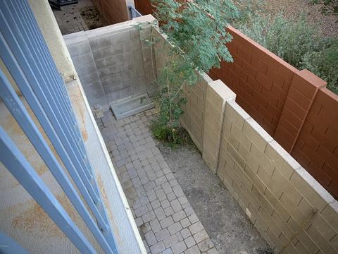 4636 E Culver St, Phoenix, AZ 85008 photo 10