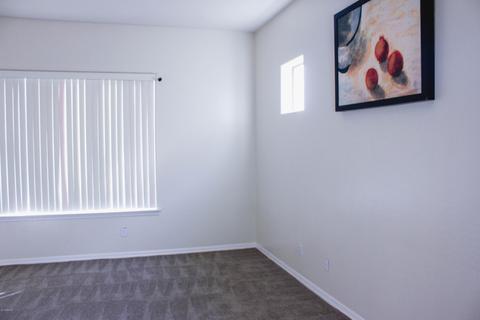 901 E Frances Ln, Gilbert, AZ 85295 photo 19