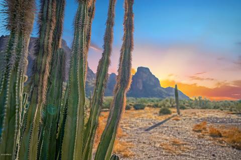 2075 N Holmes Rd, Apache Junction, AZ 85119 photo 6