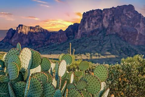 2075 N Holmes Rd, Apache Junction, AZ 85119 photo 4