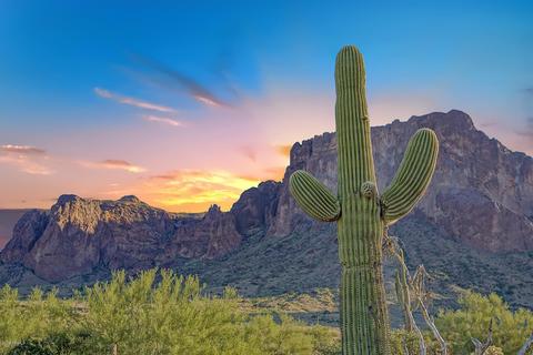 2075 N Holmes Rd, Apache Junction, AZ 85119 photo 17