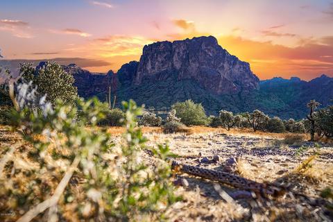 2075 N Holmes Rd, Apache Junction, AZ 85119 photo 5