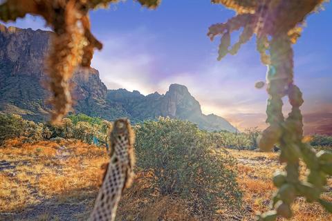 2075 N Holmes Rd, Apache Junction, AZ 85119 photo 13