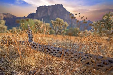 2075 N Holmes Rd, Apache Junction, AZ 85119 photo 10