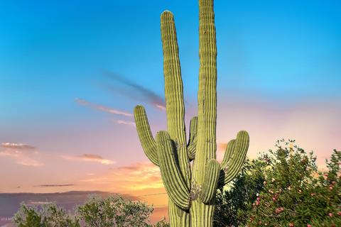2075 N Holmes Rd, Apache Junction, AZ 85119 photo 16