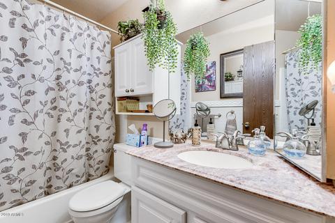 140 E June St, Mesa, AZ 85201 photo 19