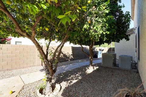 527 W Johnson Dr, Gilbert, AZ 85233 photo 32