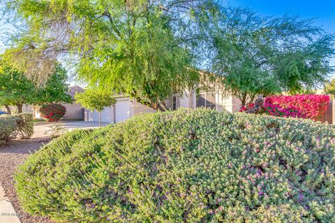 3328 E Isabella Ave, Mesa, AZ 85204 photo 7