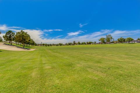 3328 E Isabella Ave, Mesa, AZ 85204 photo 63