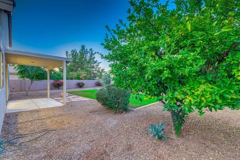 3328 E Isabella Ave, Mesa, AZ 85204 photo 51