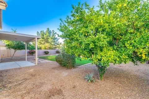 3328 E Isabella Ave, Mesa, AZ 85204 photo 46