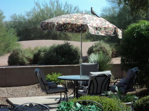 5421 S Eucalyptus Dr, Gilbert, AZ 85298 photo 3