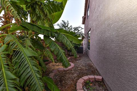 2772 E Carob Dr, Gilbert, AZ 85298 photo 66