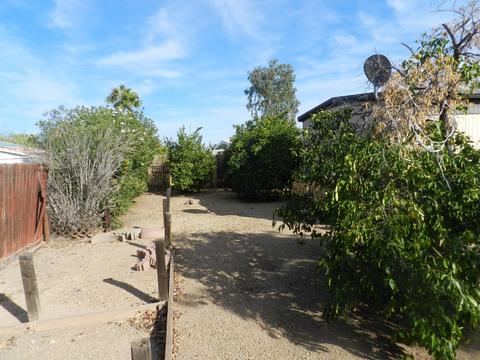 18072 N 3rd Pl E, Phoenix, AZ 85022 photo 9