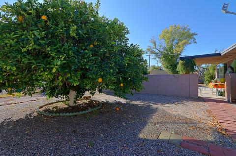 5419 E Boston St, Mesa, AZ 85205 photo 32