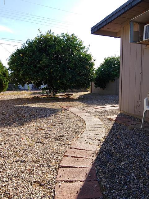 5419 E Boston St, Mesa, AZ 85205 photo 33