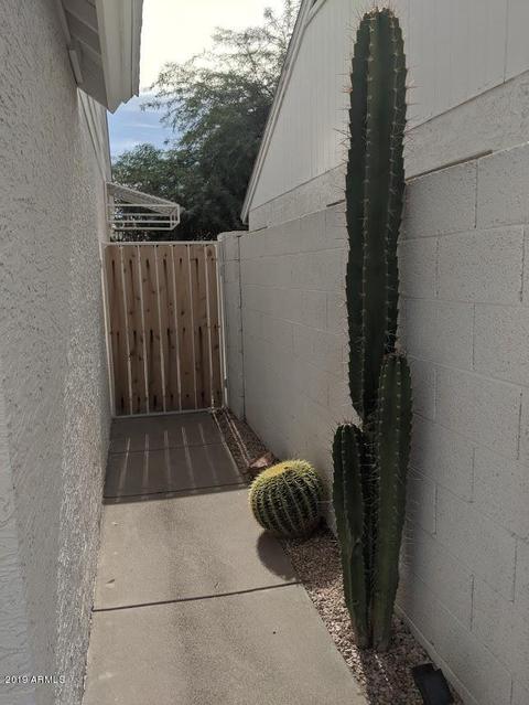 3313 E Wescott Dr, Phoenix, AZ 85050 photo 44