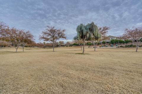 2746 S Vincent --, Mesa, AZ 85209 photo 39