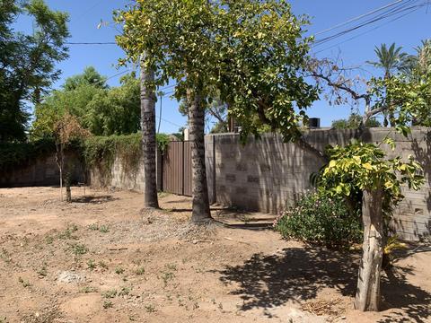 1330 E Vermont Ave, Phoenix, AZ 85014 photo 34