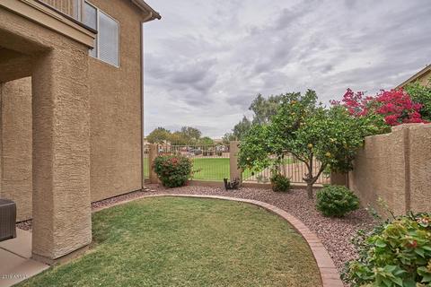 259 E Palomino Ct, Gilbert, AZ 85296 photo 15