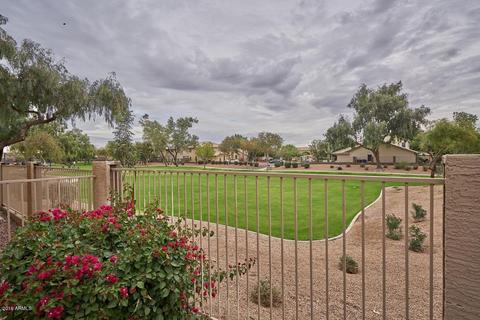 259 E Palomino Ct, Gilbert, AZ 85296 photo 14