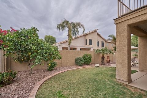 259 E Palomino Ct, Gilbert, AZ 85296 photo 13