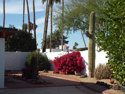 102 E Calavar Rd, Phoenix, AZ 85022 photo 3