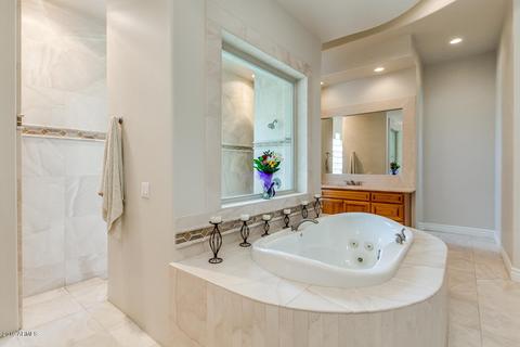 3928 E Minton Cir, Mesa, AZ 85215 photo 19