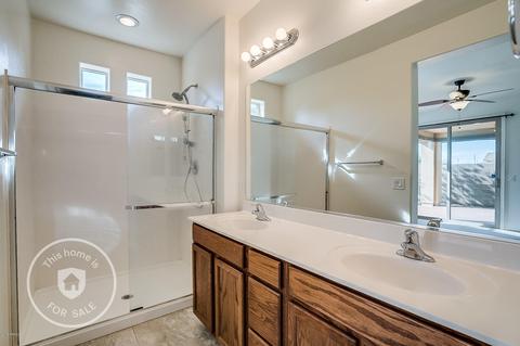 10335 E Hawk Ave, Mesa, AZ 85212 photo 11