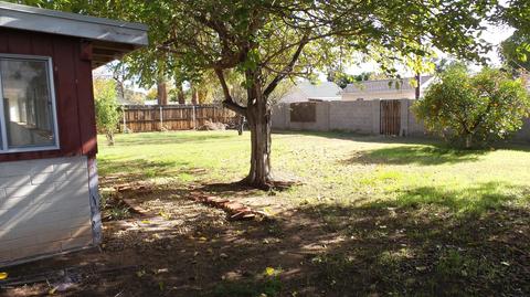4001 E Windsor Ave, Phoenix, AZ 85008 photo 5
