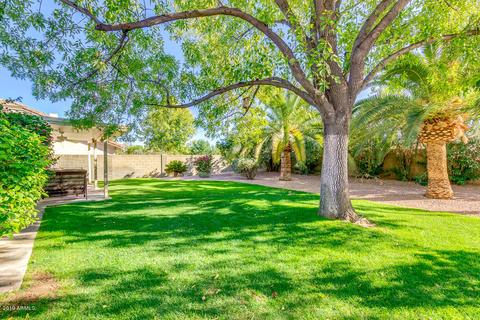 4025 E Shomi St, Phoenix, AZ 85044 photo 22