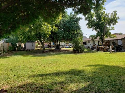 7025 N 14th Dr, Phoenix, AZ 85021 photo 6
