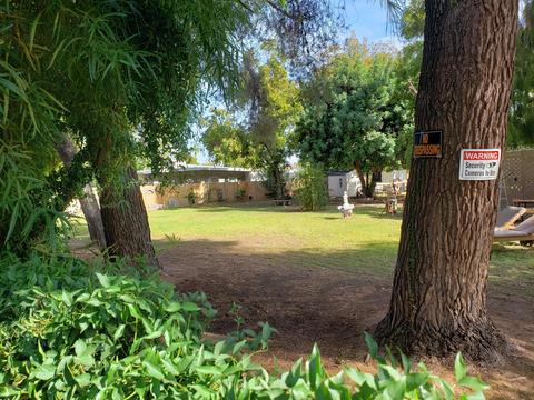 7025 N 14th Dr, Phoenix, AZ 85021 photo 5
