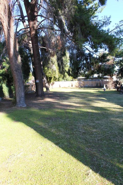 7025 N 14th Dr, Phoenix, AZ 85021 photo 9