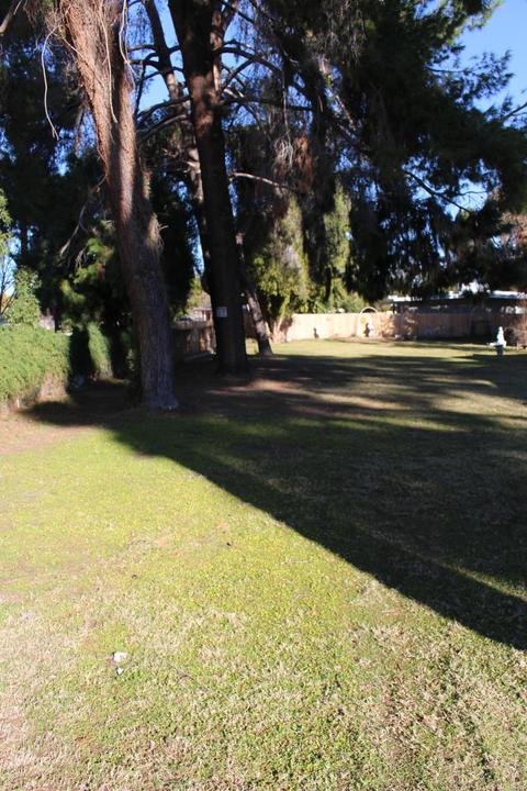 7025 N 14th Dr, Phoenix, AZ 85021 photo 8