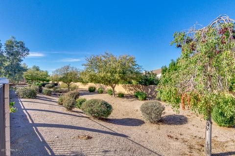 928 E Beautiful Ln, Phoenix, AZ 85042 photo 49