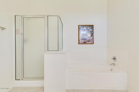 928 E Beautiful Ln, Phoenix, AZ 85042 photo 46