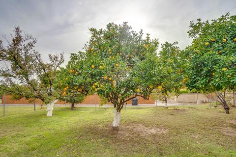 6302 N 13th Pl, Phoenix, AZ 85014 photo 19