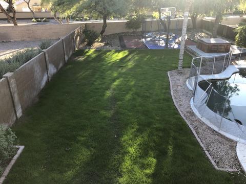 7259 E Lindner Ave, Mesa, AZ 85209 photo 5