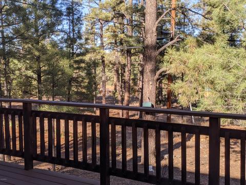 3373 Pine Cone Dr, Overgaard, AZ 85933 photo 28