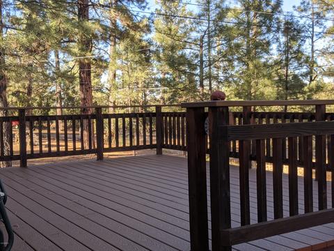 3373 Pine Cone Dr, Overgaard, AZ 85933 photo 21