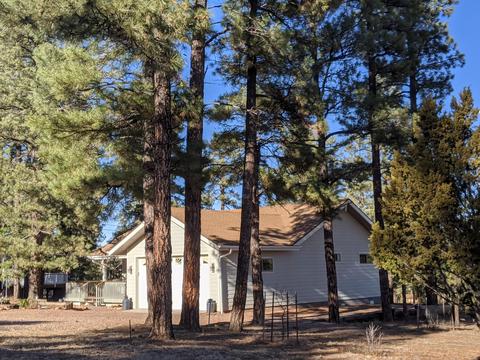 3373 Pine Cone Dr, Overgaard, AZ 85933 photo 38