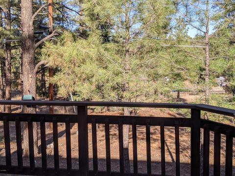 3373 Pine Cone Dr, Overgaard, AZ 85933 photo 24