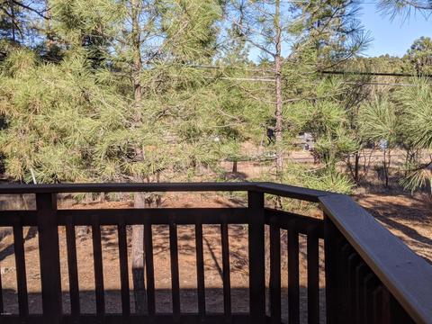 3373 Pine Cone Dr, Overgaard, AZ 85933 photo 22