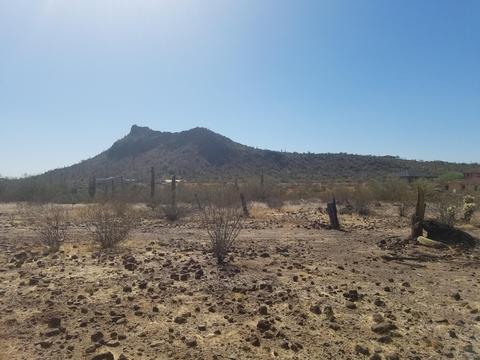 1625 E Rolling Rock Dr #-, Phoenix, AZ 85086 photo 7