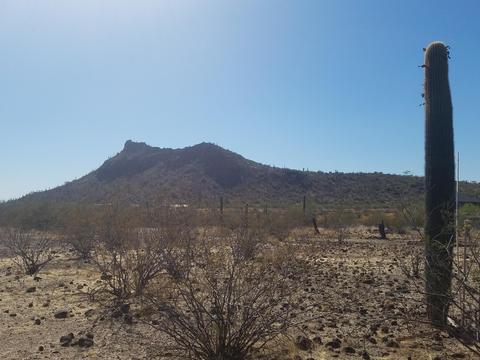 1625 E Rolling Rock Dr #-, Phoenix, AZ 85086 photo 3