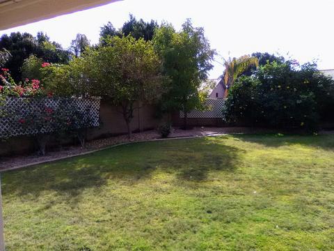 1533 E Bruce Ave, Gilbert, AZ 85234 photo 24
