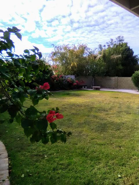 1533 E Bruce Ave, Gilbert, AZ 85234 photo 22